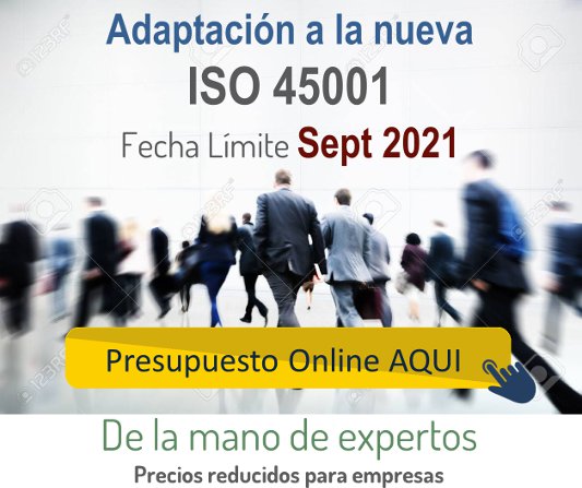 Presupuesto Online Adaptación ISO 45001